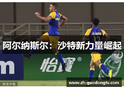 阿尔纳斯尔:沙特新力量崛起 阿尔纳斯尔:沙特新力量崛起