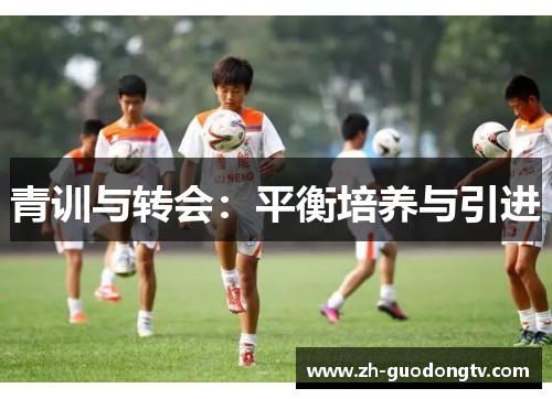 青训与转会:平衡培养与引进 青训与转会:平衡培养与引进